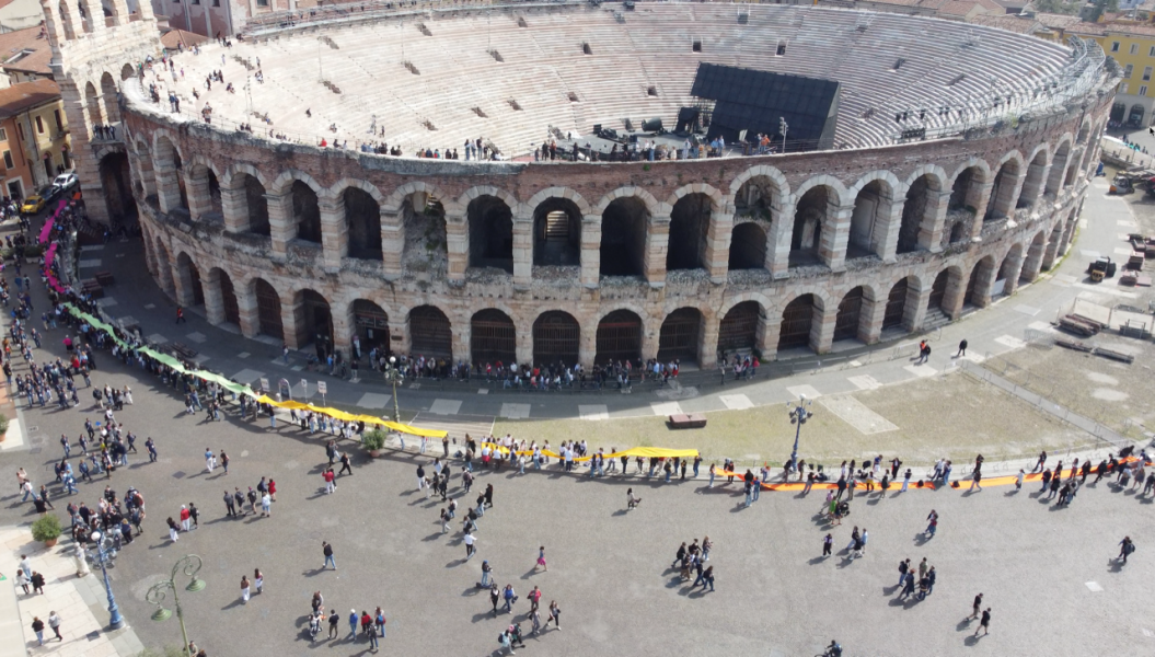 Drone Arena